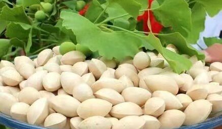 银杏树盆栽种植方法有哪些?